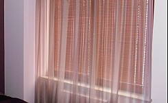 P6030091