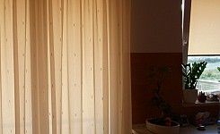 P6150331
